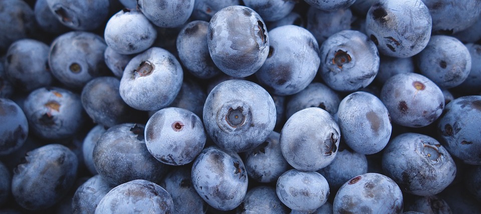 StePac announces flowpack solution for blueberries